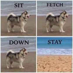 8f61a001-7547-4c3b-9092-1ed7a996f351