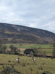 7046bcb7-9a8d-4cb6-bea5-7fff08585ede