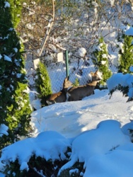 32192fca-3696-46a4-a7a0-ebff6ee9741d