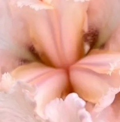 d6659be1-7e6e-432b-8cea-5b1892169f96