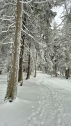 edf87a56-b902-41e0-9eec-f382181f81d8