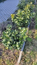 76e90d42-f3e9-4094-972b-7bf6bf05b160