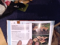 89e8f0ad-270a-4b8c-af47-ea37e8c8792d