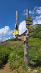 6d47247b-d2b3-4961-adfa-cde5ad629890