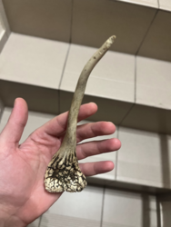 6974890c-4c99-45f8-9ee7-06832f7ba82b