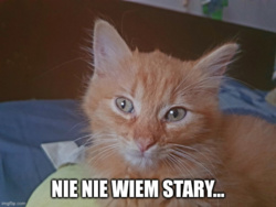 08d6665b-7dd1-4c30-be17-f4cb19977fbe