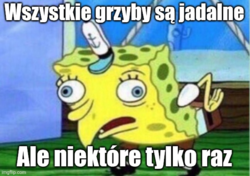 779390ef-c86d-4063-ac27-855699c80e43