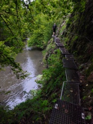 d6d1e09d-fd05-444d-bb21-cef56dc4a010