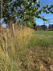 07e5a31c-f3b4-4156-87e7-196d7b827ad8