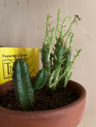 3623b397-62ca-4b26-917c-d23d44c9b4c1