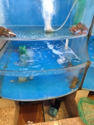 25ea49c7-cddb-408b-9824-e8df6522acdc