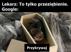 c0124b15-b413-4ccd-ba13-1f4a6dfcb3e8