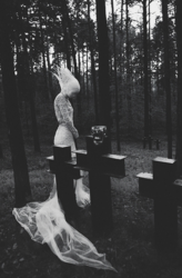 372a8791-e6e0-42b0-93b2-f9af5b00c87b