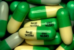 d2882df1-5b82-40cb-a489-d4d28d94153e