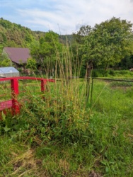 143e0bba-c823-49a6-9169-3cb863423564