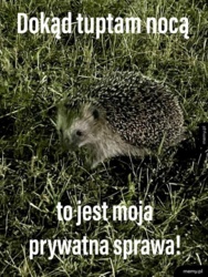 30591a39-55f1-4af9-9bb9-22f76a135da0