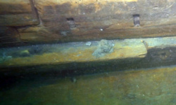 5b7e7754-04a1-4597-8485-1687988c0755