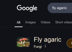 04d802c2-1346-4bf2-b104-6a639e43e557