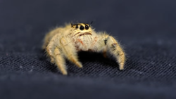 3b7d5416-2f66-4269-8871-3a1cad6c2314