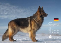 ffd469bf-d4e6-47ad-982c-5faf44eeff03