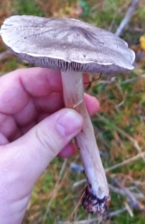 e77bfd4d-5cd1-4972-a6f4-450a13f7db54