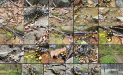 261edc22-6e47-4764-9ae8-233092396a8b