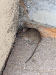 15d781ad-b5d0-4689-b11a-42c896d7e47e