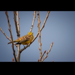 e7d83fdf-b48f-41ef-af67-265985d43e25