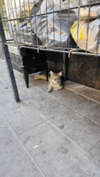 cab01bbf-6c49-4429-bf8e-fd7dafadbdd6