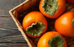 a46ca476-1f46-4b49-ad0b-28d5e7301faa