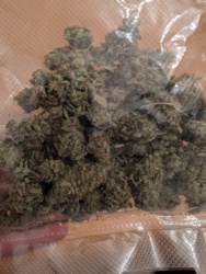 f562bb42-131a-45b2-b555-6e3f8eae723f