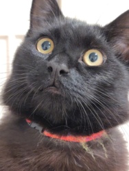 7ef8e6fa-37fb-4cd8-b82f-13f6eedd2df9