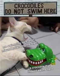 59768895-f1b2-4ba6-bc69-195b2c1114b2