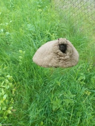 8b0bd7bf-a04c-482c-b7fe-f022a84d344c