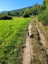 7ec7906a-e503-4c8f-9804-26fc4e084d0f