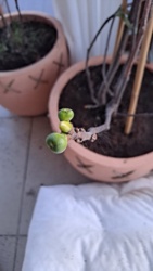 566e2abf-1913-4f6a-9165-49bfb029b4ee