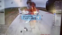 d369ef55-6816-4590-9f41-0d0fbf9bad58