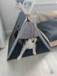 f1a66496-7747-463f-8a3a-938c174dad7e