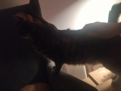 d507afb7-231b-4890-9bac-4bfa9029354e