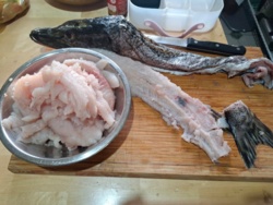 8ad56eec-f667-4c55-bb77-927cee8247ad