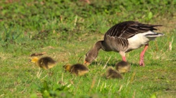 47ce9b80-b44f-4b0e-93b9-839e884730c2