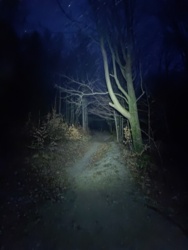 b8132050-b324-4359-87d3-9286f90cbd84