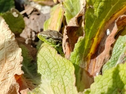 ee3a8ead-f896-4cde-8632-5a4b01704d3c