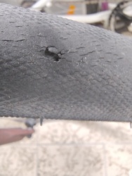 662da40f-8104-4dc7-a91c-6c3b36519894