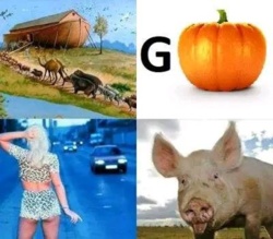 90d6d50b-6d7b-4047-bcd0-50872153707f