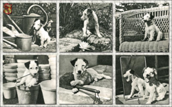 54d13cee-aacf-4645-b208-30a6b48164be