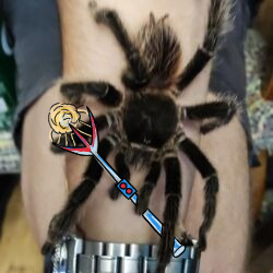 32a800ba-1da1-4f10-8bd4-e4e632aacd46