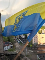 11310f5a-bcda-4079-9db6-f9ea5a25ff1e