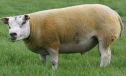 3cdee4ac-5885-44a9-8adb-5dca55e8c100