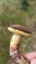 fe9ac7c8-9b1e-4ca9-a737-a2ab01aedada